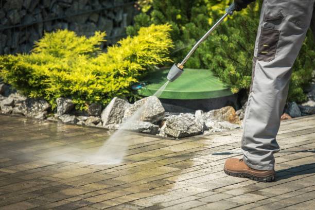 Best Gutter Cleaning and Brightening in Harvey, IL